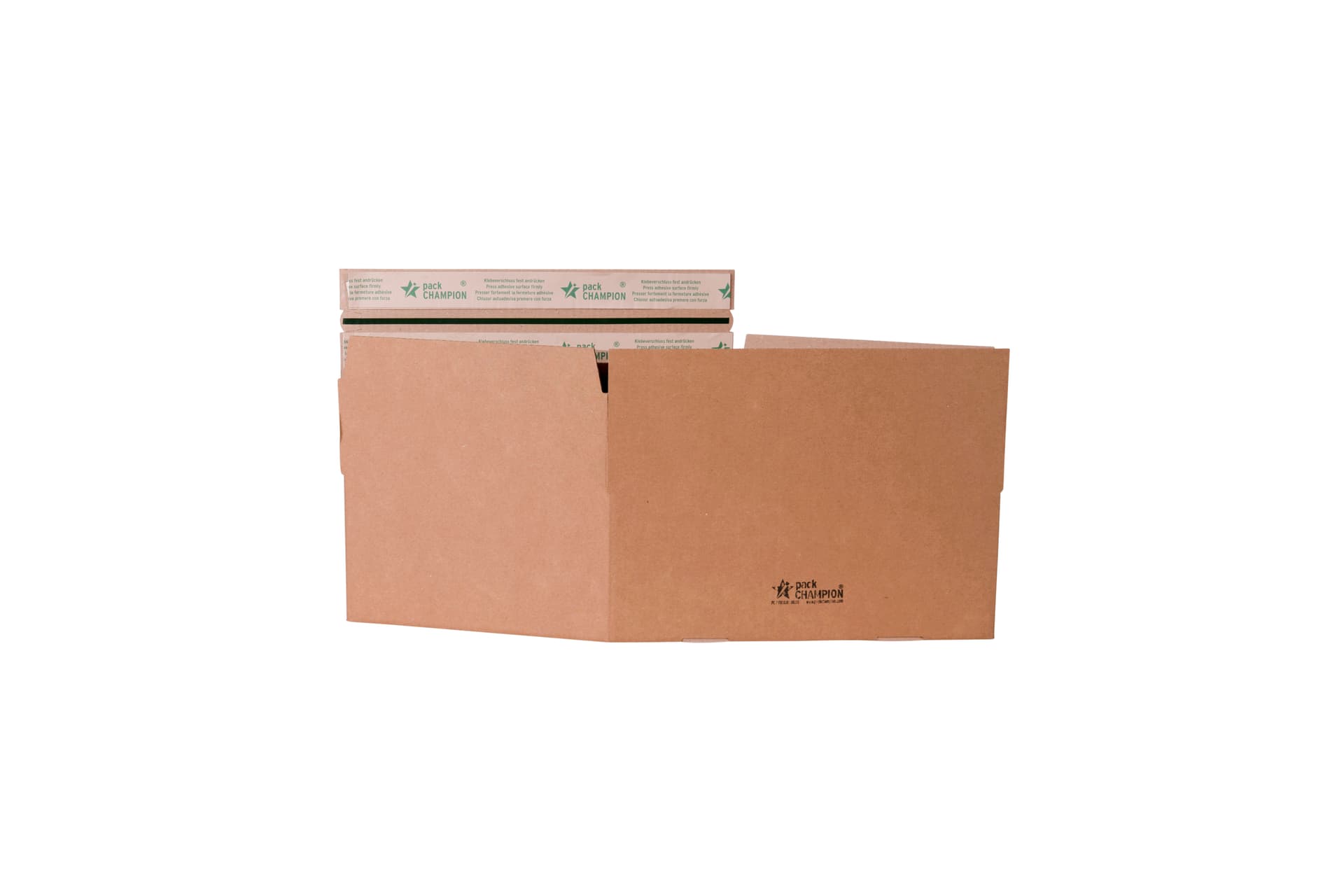 Versandbox wiederverschließbar 250x155x110